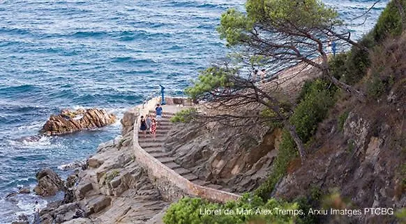 Villa Blanca 10 Minutos De La Playa Costa Brava Massanet De La Selva 0*,  Spanje